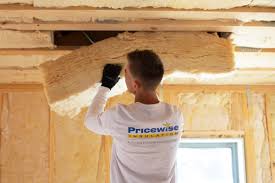 Best Weatherproofing Services  in Plum Grove, TX